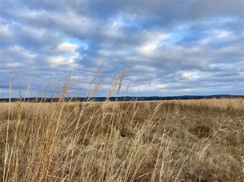 Best Hikes And Trails In Shawangunk Grassland National Wildlife Refuge Alltrails