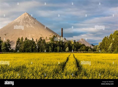 oil shale ash heap  estonia stock photo alamy