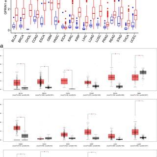 Expression Analysis And Survival Analysis For Upstream Lncrnas Of