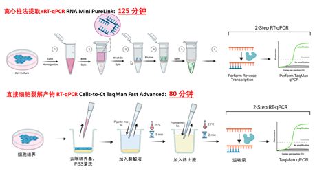 只需5分钟样品制备，开始您的rt Qpcr 微信文章 仪器谱