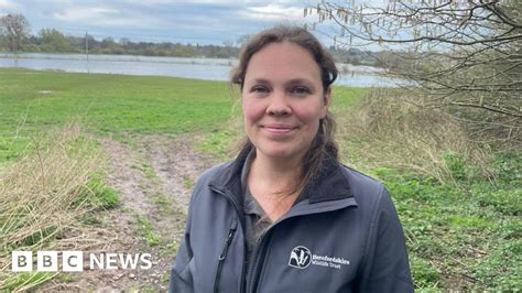 Hereford Objection Raised Over Development By Nature Reserve BBC News