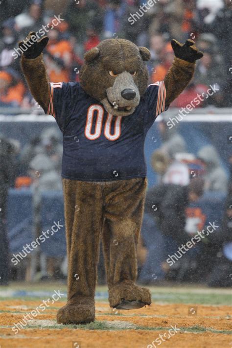 Chicago Bears Mascot Staley Da Bear Editorial Stock Photo - Stock Image ...