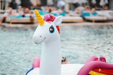 Bou E Licorne Xxl La Meilleure Option Pour Votre Piscine Cet T