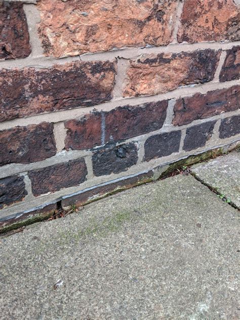 DAMP PROOF COURSE | RISING DAMP MYTH | DAMPSERVE