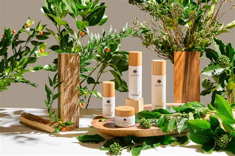 Rootree Tutta La Vitalità Della Foresta Per Il Tuo Viso