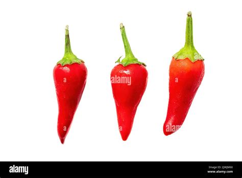 Organic Fresh Red Hot Chilli Pepper Isolated On A White Background Stock Photo Alamy