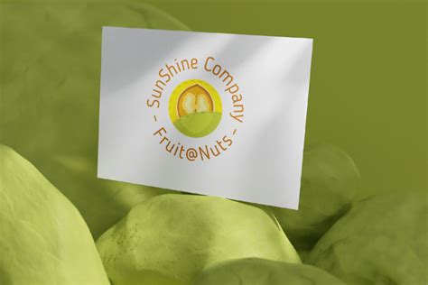 SunShine Company logo and branding elements on Behance