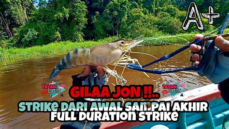 Mancing Udang Galah A Kapuas Tayan GILLAA Full Durasi Strike Terus