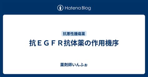 抗egfr抗体薬の作用機序 薬剤師情報局