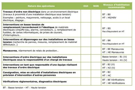 Formation En Vue De L Habilitation Lectrique Captainrisk