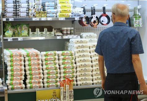 상반기 농축수산물 물가 크게 올라 금달걀 네이트 뉴스