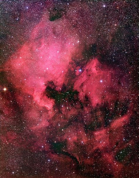 North America Nebula By Robert Gendler Science Photo Library