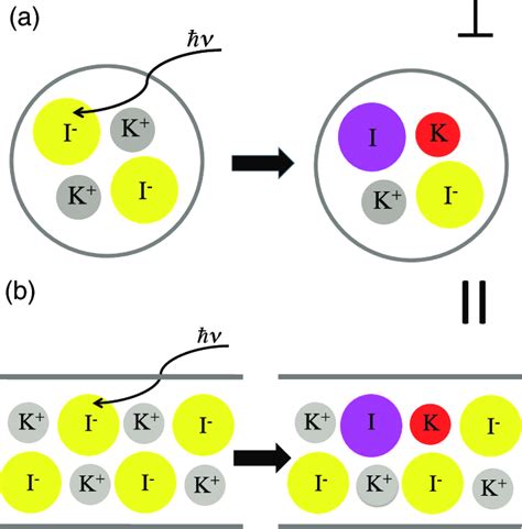 Schematic Diagrams Of The Lowest Energy Intra Ionic Excitations Of A