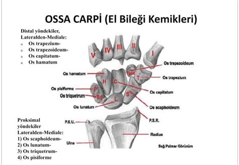 Emrah Gül on Twitter Bu ikisi arasındaki bağlantıyı yalnızca gerçek