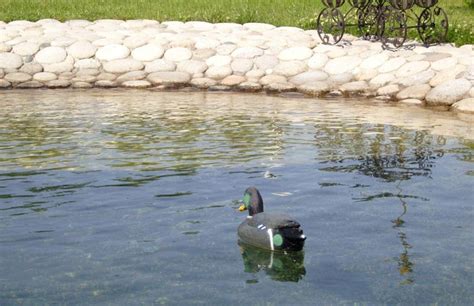 Строительство пруда своими руками | Строительный портал