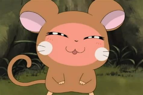 Cheerful Ook Ook The Hamtaro Wiki Fandom