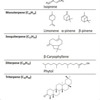 Structure Of Linalool Isomers And Derivatives Summary Of Findings