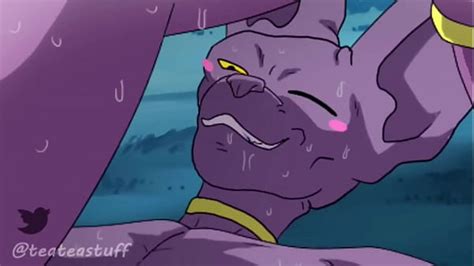 Gay Furry Animation Videos XVIDEOS
