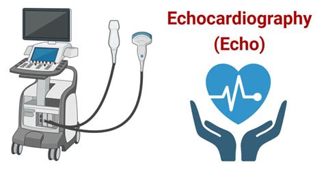 Echocardiography Echo Principle Types Procedure Uses