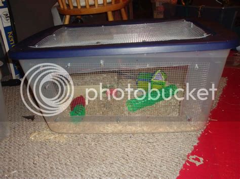 New mouse cages !!!!! | Pet Mice Forum