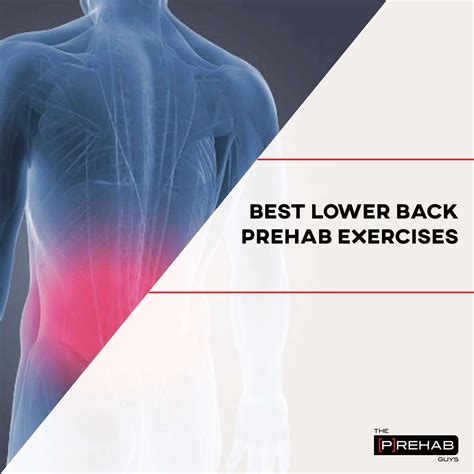 Best Low Back Exercises | 𝙏𝙝𝙚 𝙋𝙧𝙚𝙝𝙖𝙗 𝙂𝙪𝙮𝙨 | Online Physical Therapy