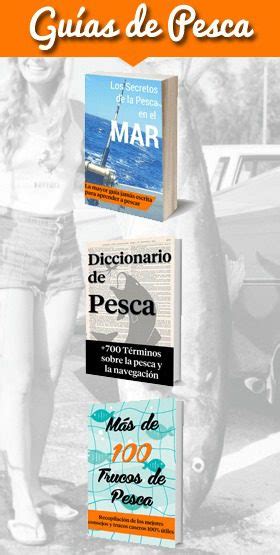 Pesca De Cerco Que Es Y Como Se Realiza Espesca