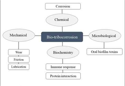 Figure 2 From Progression Of Bio Tribocorrosion In Implant Dentistry