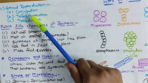 B Sc 1st Year Botany UNIT 2 BACTERIA General Characters Shape