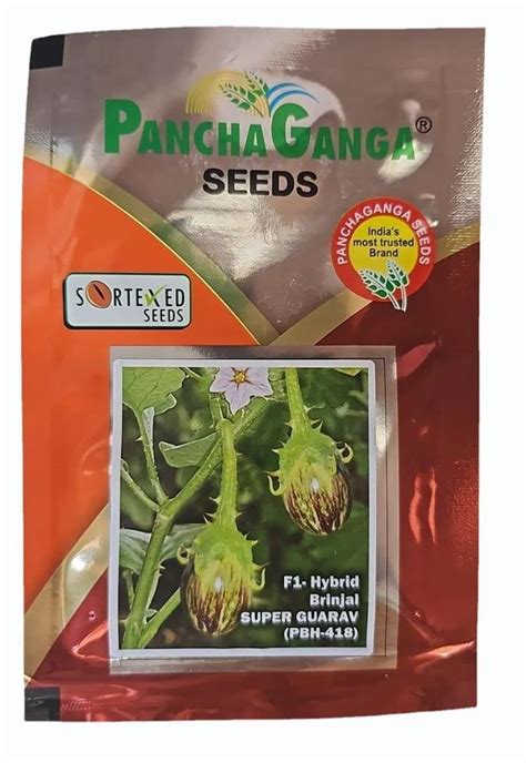 Green Panchganga F Hybrid Brinjal Seeds Packaging Type Packet