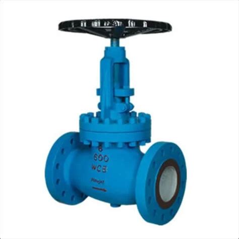 Stainless Steel Globe Valves Manufacturer Supplier In Ahmedabad Gujarat India Latest Price