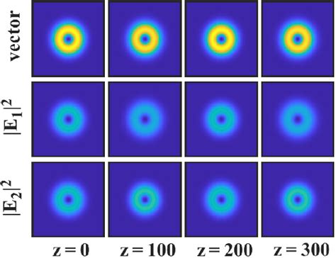 Numerical Simulations Of Dynamics Of Vector Vortex Vortex Solitons E