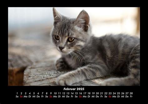 Tierkalender Fotokalender Din A Tierkalender Thalia