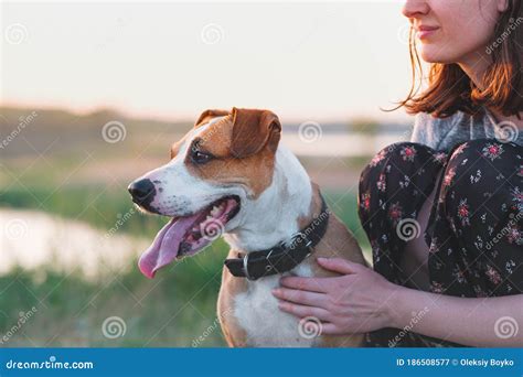 Happy Dog With Closed Eyes In Female Hands Summer Season Stock Image