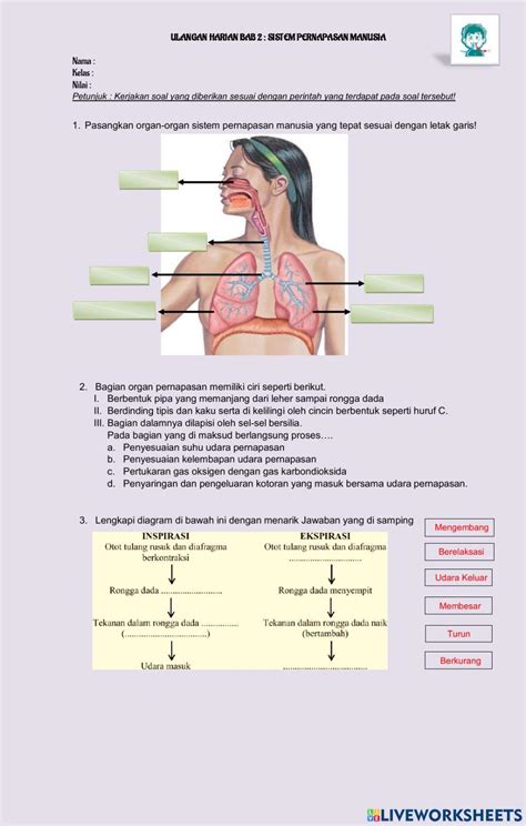 Uh Sistem Pernapasan Manusia Worksheet Live Worksheets