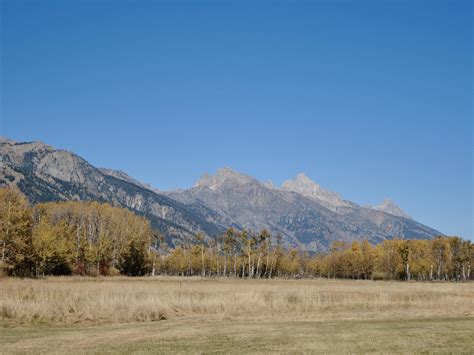 The Top 10 Wedding Venues In Jackson Hole Wyoming