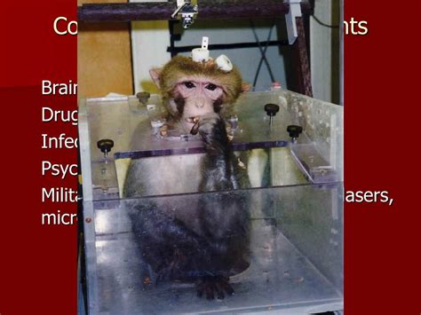 PPT - U.S. Primate Experimentation: PowerPoint Presentation, free download - ID:138033