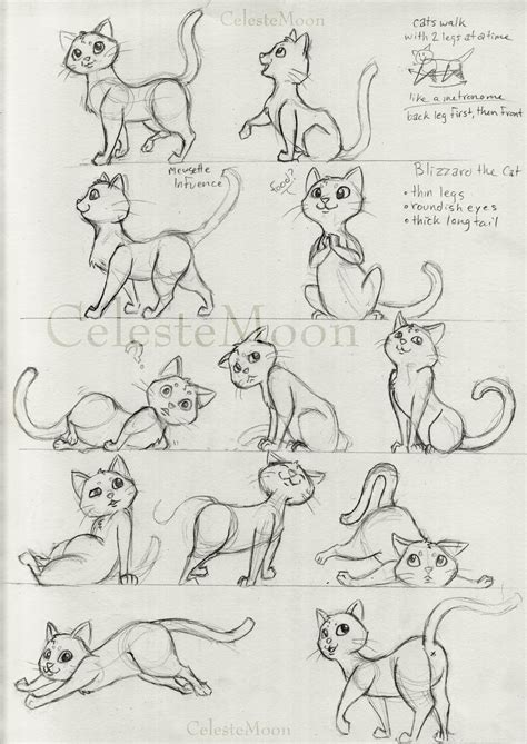 Blizzard the Cat Concept Poses by CelesteMoon on DeviantArt | Cartoon cat drawing, Cat drawing ...