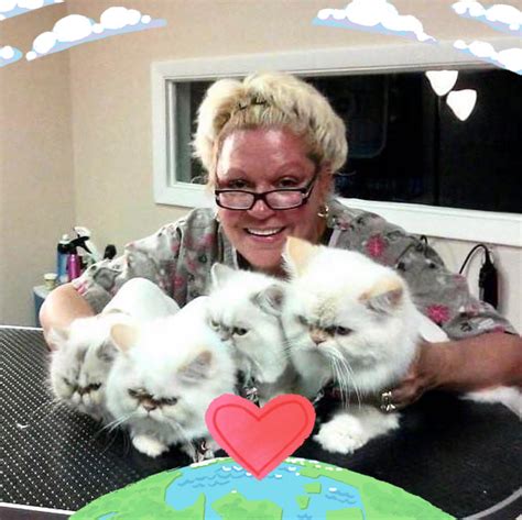 Heavenly Touch Dog & Cat Grooming | Melbourne FL