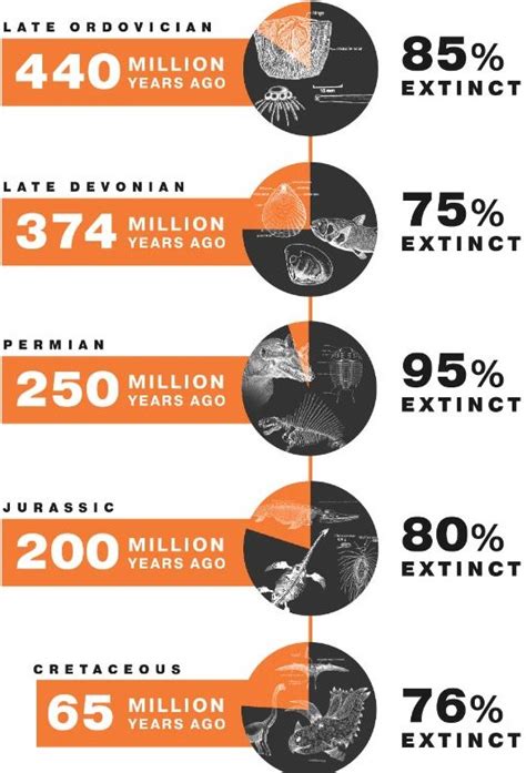 A Mass Extinction Is Classified As A Sharp Rise In The Rate Of Extinction