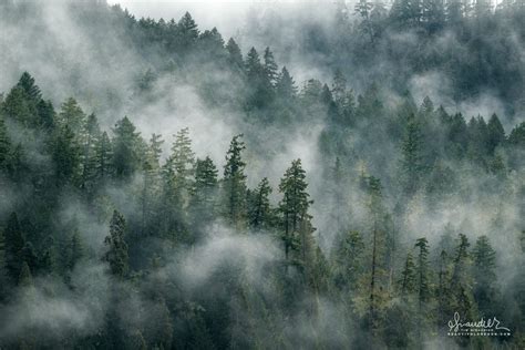 Willamette National Forest - Middle Fork Ranger District - Oregon ...