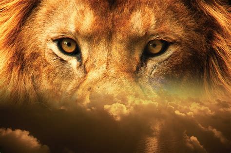 Download Lion, Eyes, Sky. Royalty-Free Stock Illustration Image - Pixabay