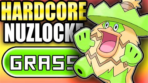 Pokémon Alpha Sapphire Hardcore Nuzlocke Grass Type Only No Overleveling No Items YouTube