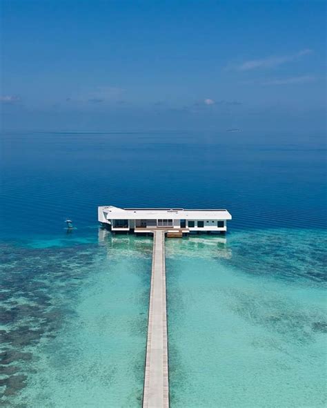 maldives  muraka  conrad maldives rangali island underwater