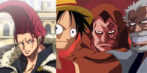 One Piece Monkey D Family Tree
