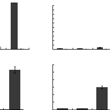 A Urinary And Faecal Fluoride Excretion In Rats Fed A