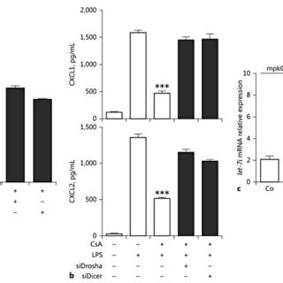 Csa Induces Mir Modulating Tlr Expression And Lps Induced Cellular