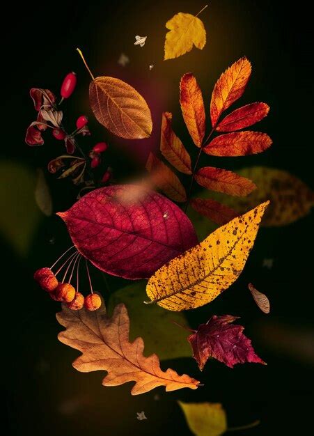 Premium Photo Composition Of Colorful Fallen Autumn Leaves On The Air