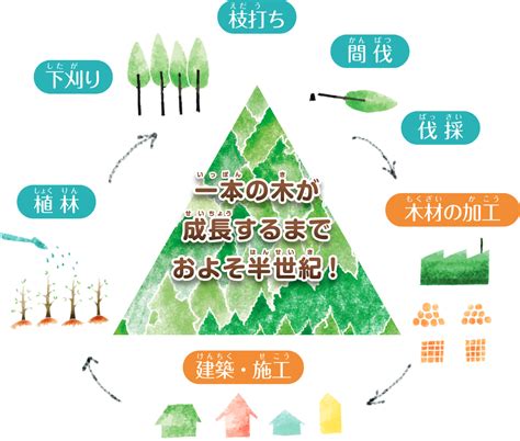 きがなくなったらどうなるのの検索結果 Yahoo きっず検索