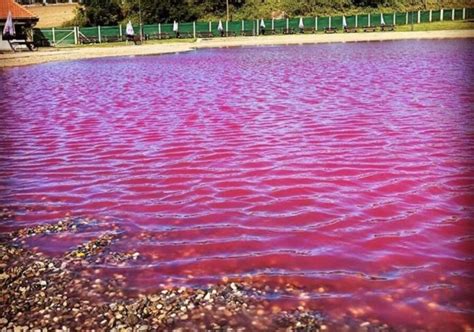 Termalna Banja Pa Ir Roze Jezero U Srbiji Srbija Pod Lupom