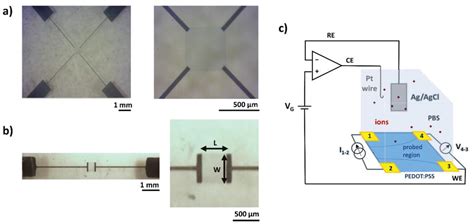 Charge Carrier Mobility In Organic Mixed IonicElectronic Conductors By